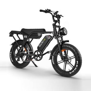 E bike v8