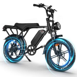 E bike v8